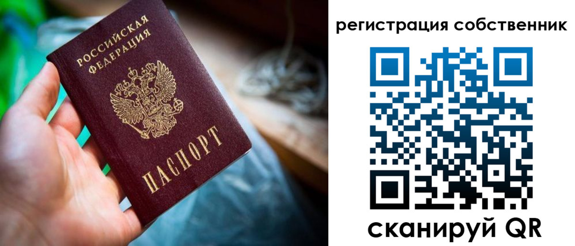 прописка гарантия в Электрогорске